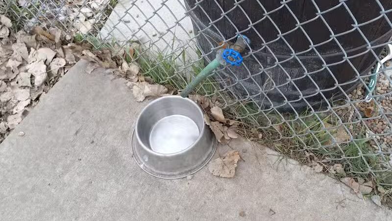 Dog Park - West Branch,