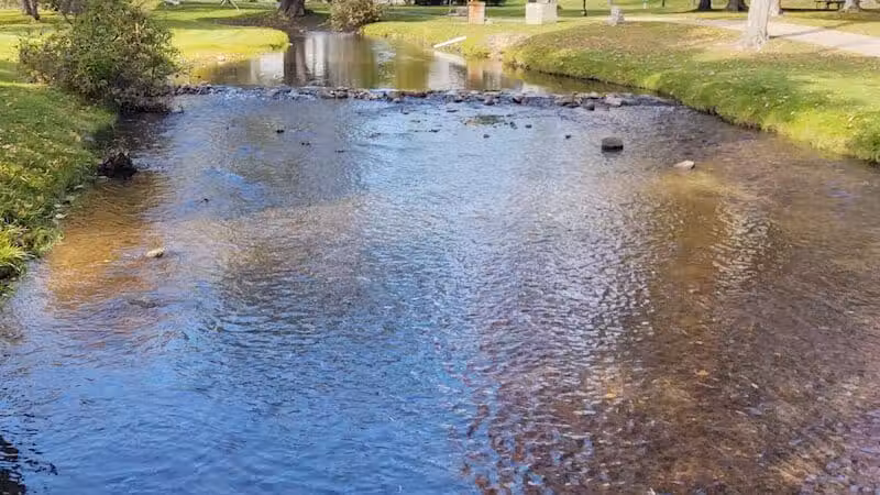 Irons Park - West Branch,