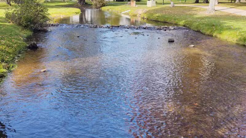 Irons Park - West Branch,