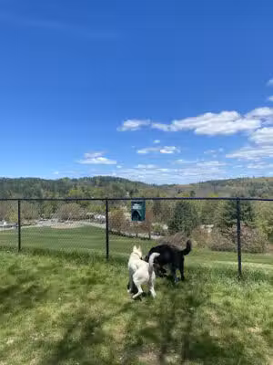 Brattleboro Dog Park - West Brattleboro, VT