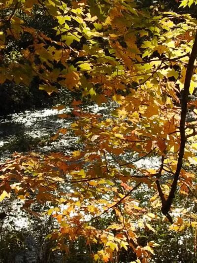 War Memorial Park - West Bridgewater, MA