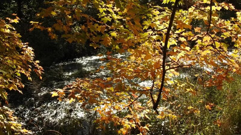 War Memorial Park - West Bridgewater, MA