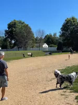 West Goshen Township Dog Park - West Chester, PA