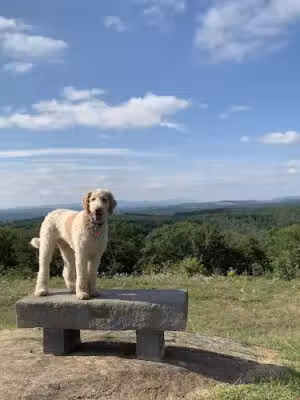Mohawk Mountain State Park - West Cornwall, CT