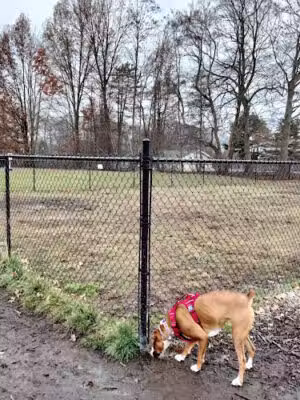 West Hartford Dog Park - West Hartford, CT
