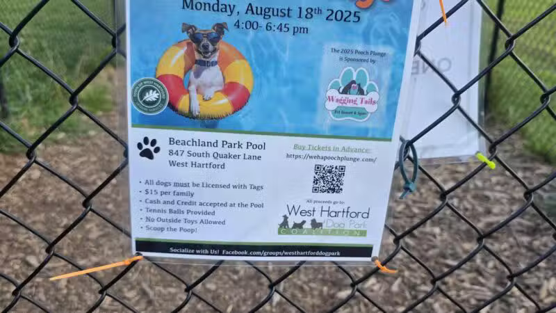 West Hartford Dog Park - West Hartford, CT