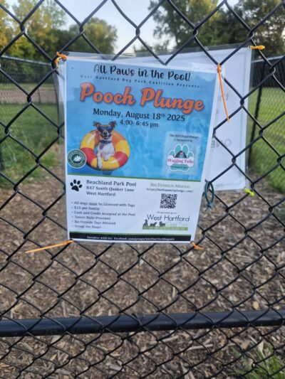 West Hartford Dog Park - West Hartford, CT