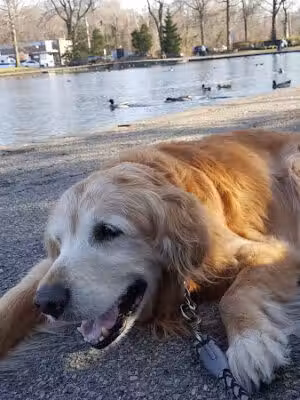 Halls Pond Park - West Hempstead, NY