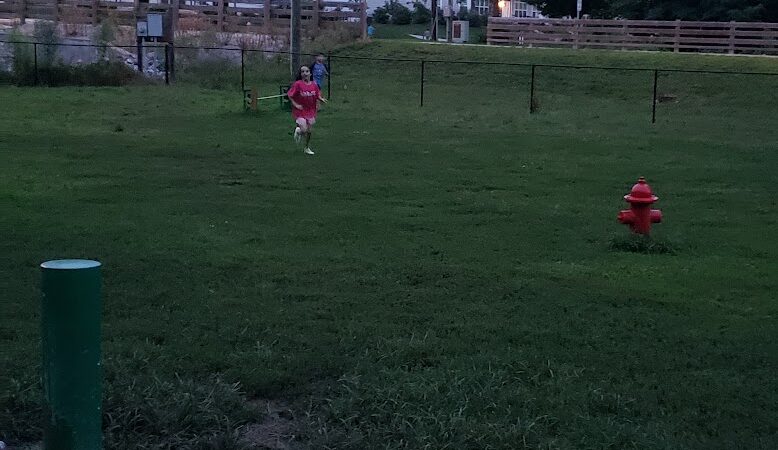 Happy Hollow Park Dog Park - West Lafayette, IN