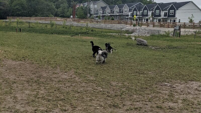 Happy Hollow Park Dog Park - West Lafayette, IN