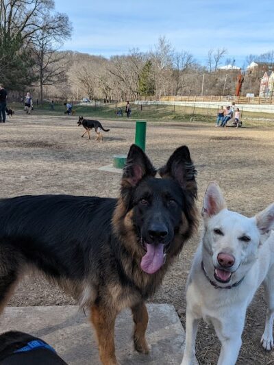 Happy Hollow Park Dog Park - West Lafayette, IN