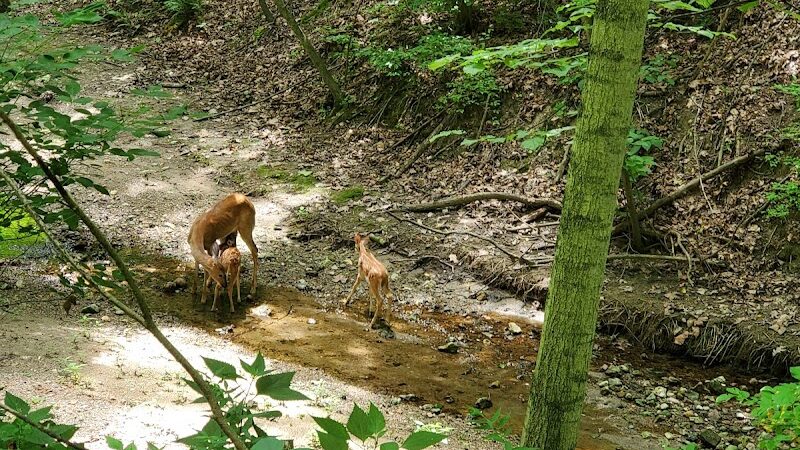 Happy Hollow Park Dog Park - West Lafayette, IN