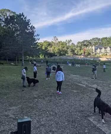 Happy Hollow Park Dog Park - West Lafayette, IN