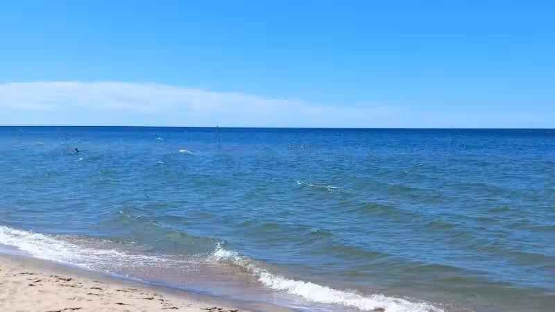 Kirk Park - West Olive, MI