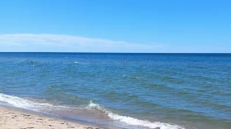 Kirk Park - West Olive, MI