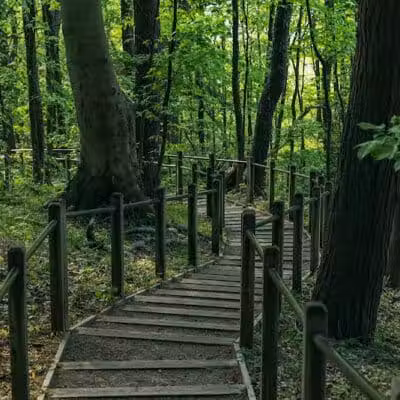 Kirk Park - West Olive, MI