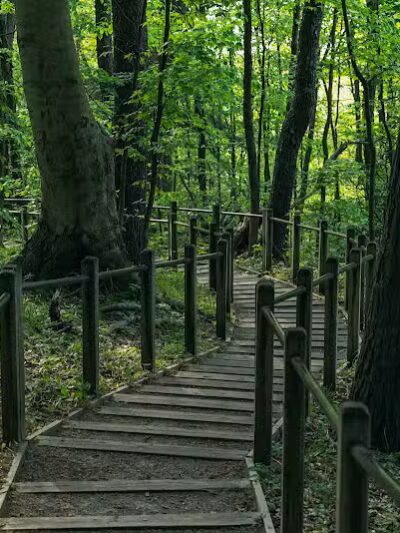 Kirk Park - West Olive, MI