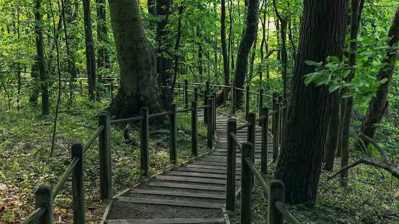 Kirk Park - West Olive, MI