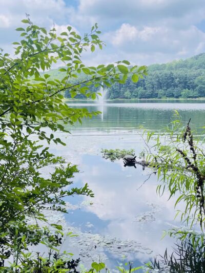 Essex County Park - West Orange, NJ