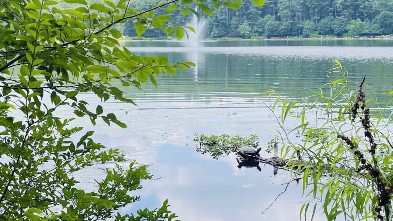 Essex County Park - West Orange, NJ