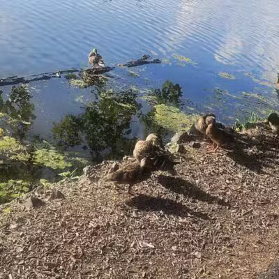 Essex County Park - West Orange, NJ