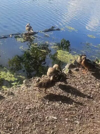 Essex County Park - West Orange, NJ