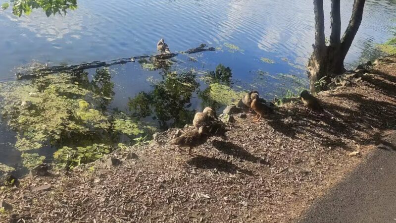 Essex County Park - West Orange, NJ