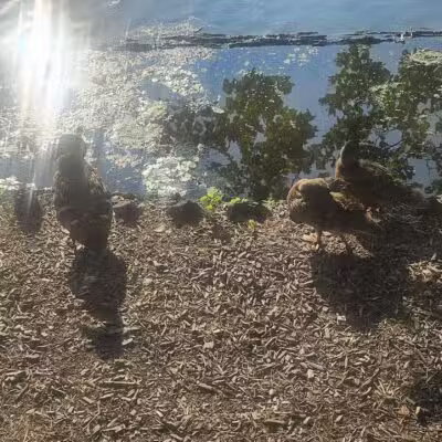 Essex County Park - West Orange, NJ