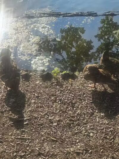 Essex County Park - West Orange, NJ