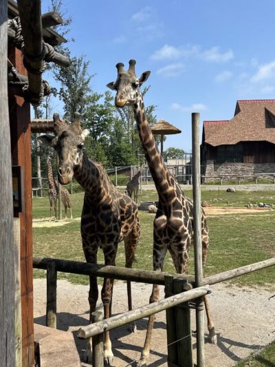 Essex County Turtle Back Zoo - West Orange, NJ