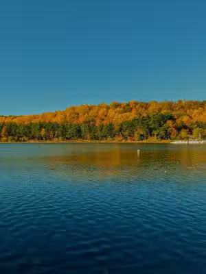 Essex County Park - West Orange, NJ