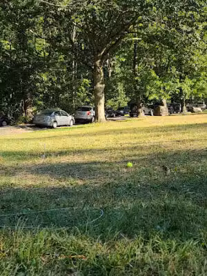 Tulip Springs - West Orange, NJ