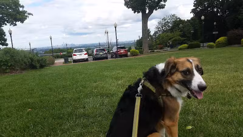 Eagle Rock Reservation - West Orange, NJ