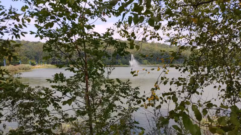 Orange Green Trail Access - West Orange, NJ