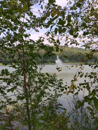 Orange Green Trail Access - West Orange, NJ