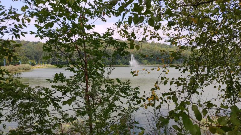 Orange Green Trail Access - West Orange, NJ