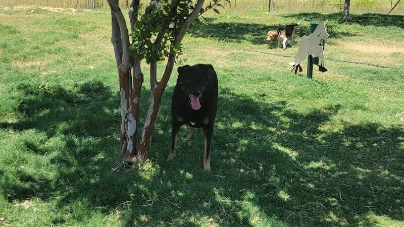 Dog Park - West, TX