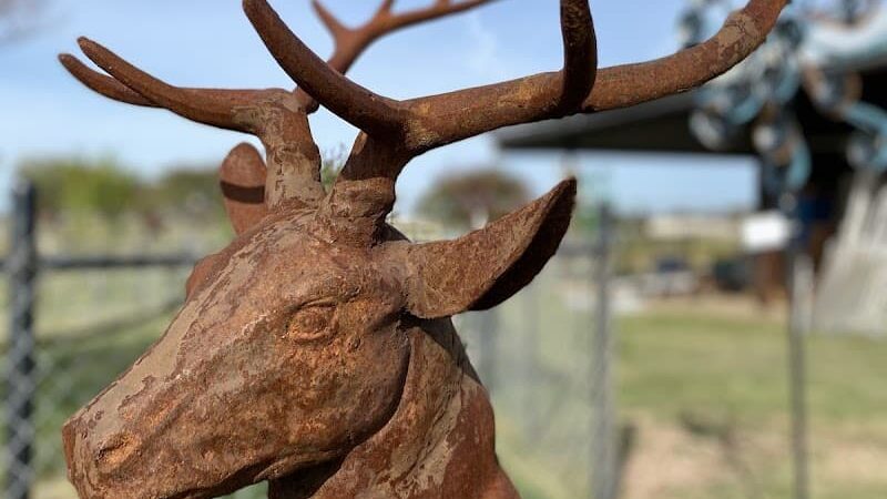 Dog Park - West, TX