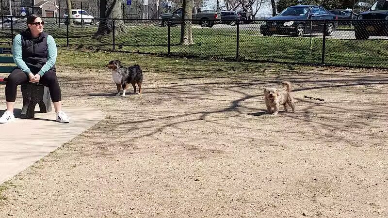 Eisenhower Dog Park - Westbury,