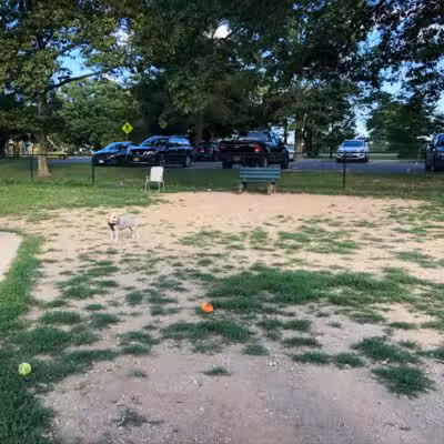 Eisenhower Dog Park - Westbury,