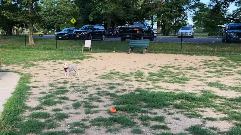 Eisenhower Dog Park - Westbury,