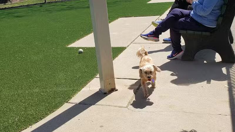 Eisenhower Dog Park - Westbury,