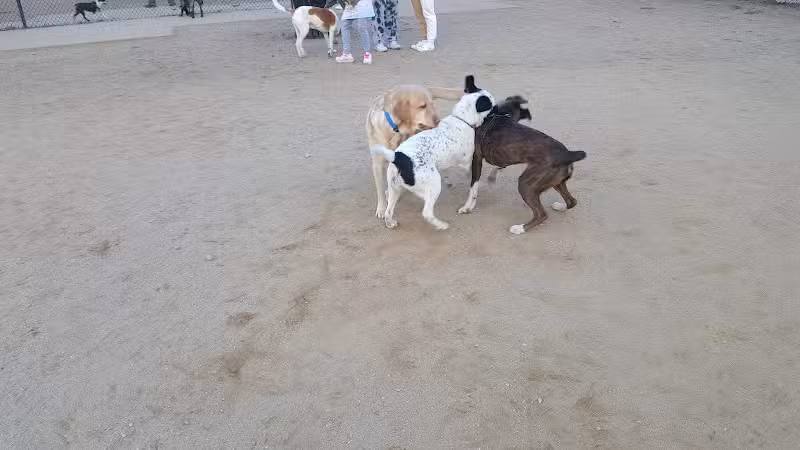 Eisenhower Dog Park - Westbury,