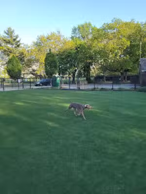 Eisenhower Dog Park - Westbury,