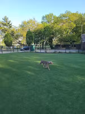 Eisenhower Dog Park - Westbury, NY