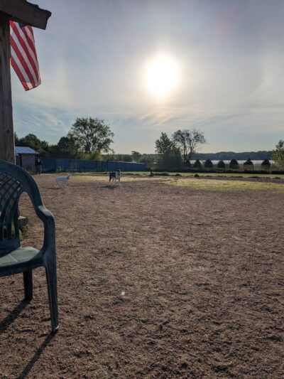 Westerly Dog Park - Westerly, RI