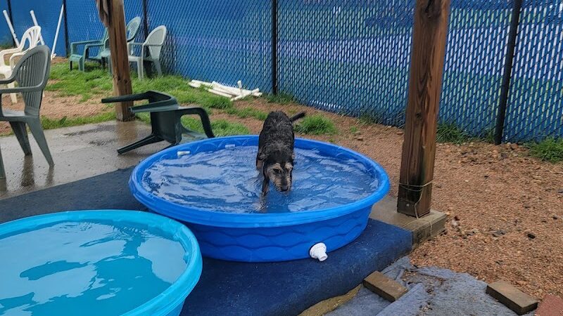 Westerly Dog Park - Westerly, RI