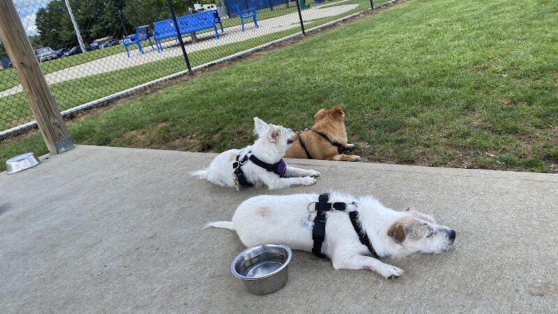 Westerly Dog Park - Westerly, RI