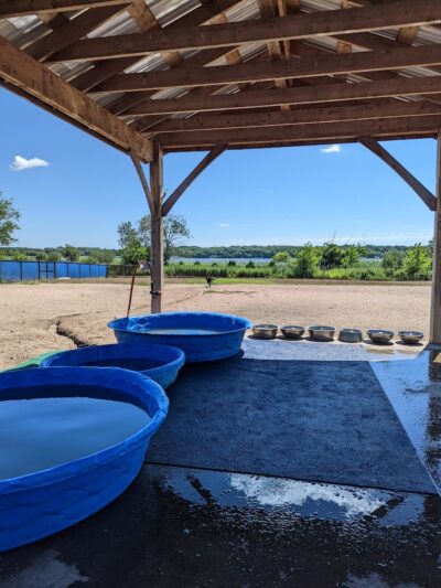 Westerly Dog Park - Westerly, RI