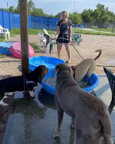 Westerly Dog Park - Westerly, RI